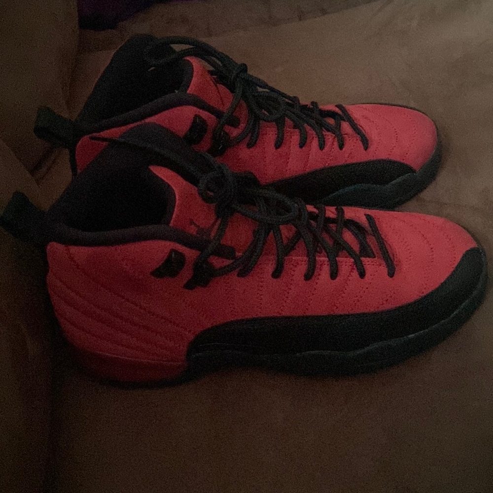 Jordan 12 flu game